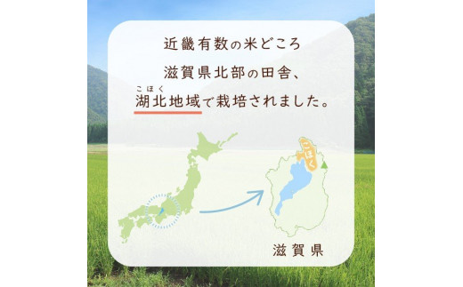 アイテムID:313429の画像3枚目