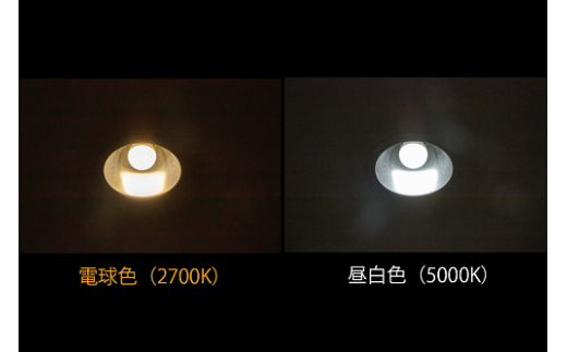 ふるさと納税】停電しても消えない電球「いつでもランプtsuita」 口金