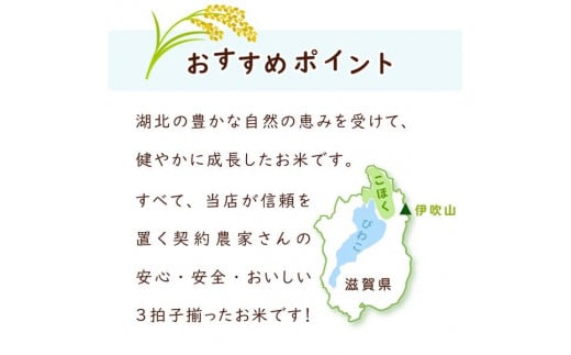 アイテムID:313429の画像7枚目