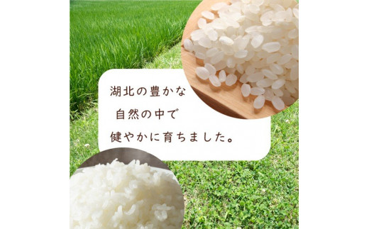 アイテムID:313429の画像8枚目