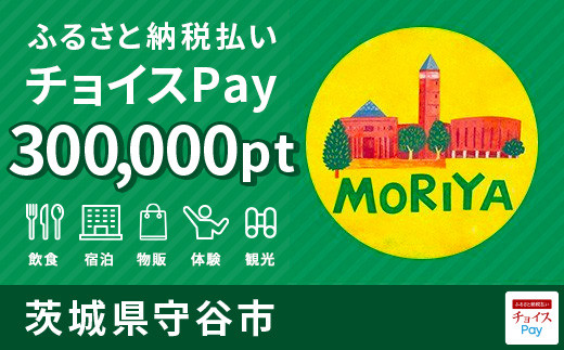 守谷市チョイスPay 300,000pt（1pt＝1円）