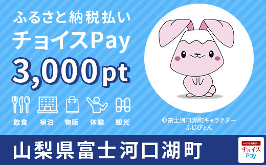 富士河口湖町チョイスPay 3,000pt（1pt＝1円）