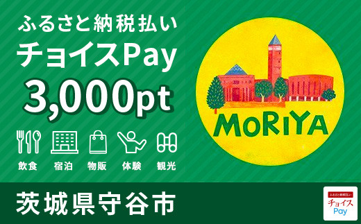 守谷市チョイスPay 3,000pt（1pt＝1円）