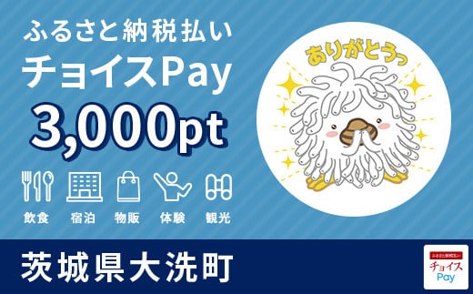 大洗町チョイスPay 3,000pt（1pt＝1円）