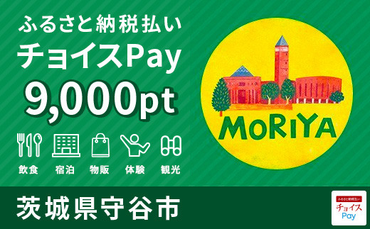 守谷市チョイスPay 9,000pt（1pt＝1円）