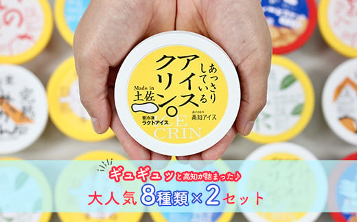 高知アイスのアイスクリーム　8種類×2 212142 - 高知県いの町