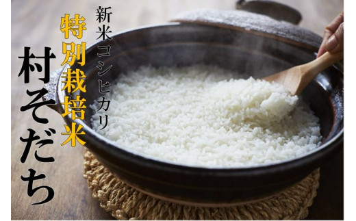 【特別栽培米】 令和４年産 コシヒカリ「村そだち」 ２０ｋｇ