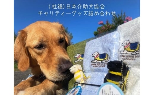 ふるさと納税 困難を抱える方々に犬を通して笑顔を届けたい シンシアの丘チャリティーグッズ 10 000円 愛知県長久手市 ふるさとチョイス ふるさと納税サイト