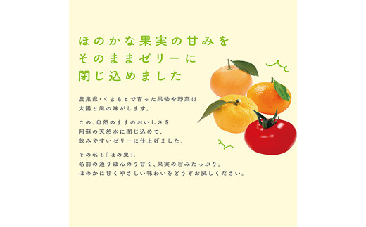 お水やさんの 自然 派 ゼリー ほの果 12個 セット 果物 天然水