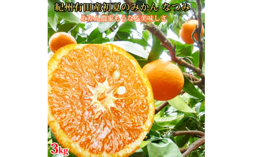 初夏のみかん　なつみ3kg　※2025年4月中旬〜2025年4月下旬頃に順次発送（お届け日指定不可）【uot753】 765428 - 和歌山県古座川町