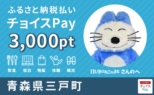 三戸町チョイスPay 3,000pt（1pt＝1円）