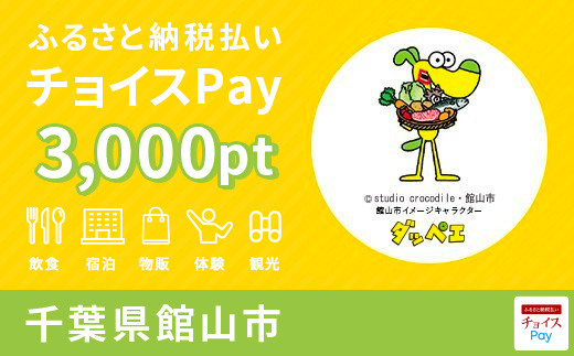 館山市チョイスPay 3,000pt（1pt＝1円）