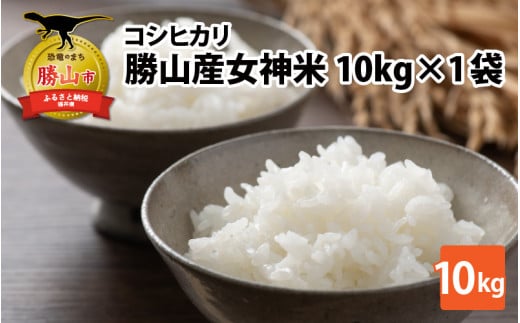 令和5年産 コシヒカリ 勝山産女神（おながみ）米 10kg×1袋 [B-042002] 720520 - 福井県勝山市