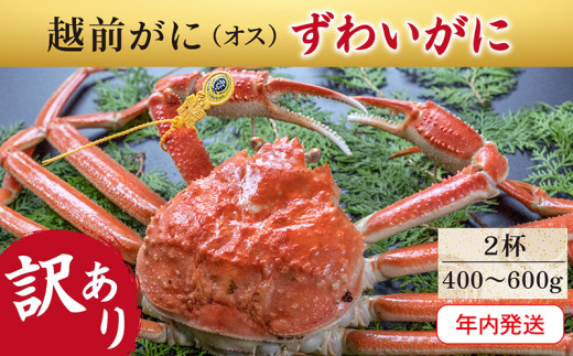 【年内発送・指定日着可】越前がに(オス)「ずわいがに」(400g~600g) 訳あり 2杯