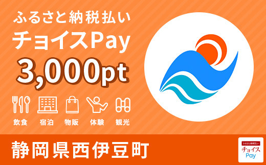 宿泊・食事・レジャーに使える！西伊豆町 チョイスPay 3,000ポイント