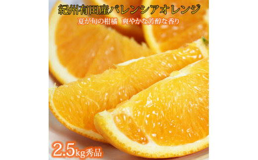 秀品　希少な国産バレンシアオレンジ　2.5kg　※2023年6月中旬頃～6月下旬頃順次発送（お届け日指定不可）