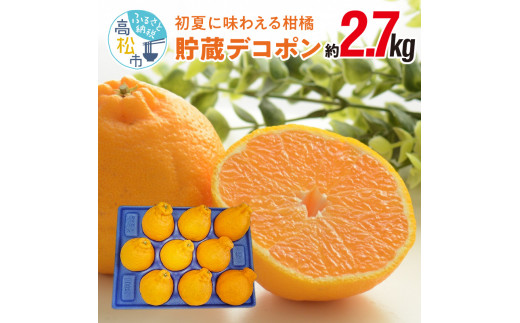 【先行予約2023年】初夏に味わえる柑橘 貯蔵デコポン 約2.7kg【5月中旬～6月下旬】