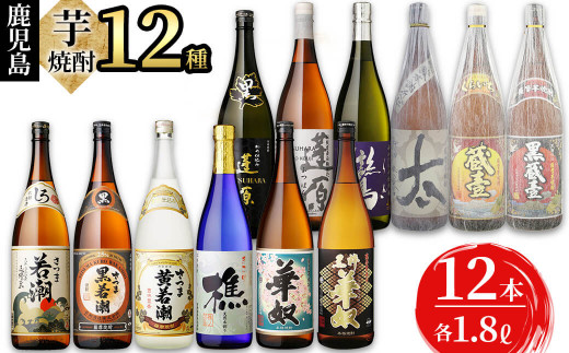 志布志の本格芋焼酎3蔵元飲み比べセット(各1.8L・計12本) h4-002 428033 - 鹿児島県志布志市