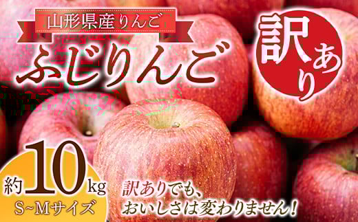 《2023年先行予約》りんご「ふじりんご」訳あり 10kg ふじりんご りんご リンゴ 林檎 山形県産 フルーツ 果物 FSY-0047 433880 - 山形県山形県庁