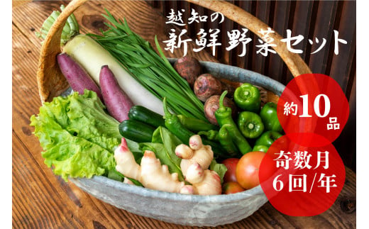 越知産市の季節の野菜セット(年6回発送) 