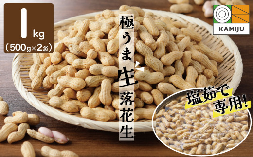 2023年発送】事前予約 やみつき極うま 生落花生 1kg(500g×2袋) 生