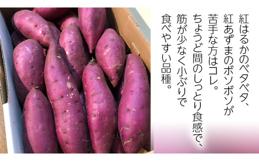 さつまいも 「 ひめあやか 」 5kg 旬 甘い 芋 いも サツマイモ