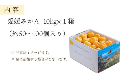 D25-5.ミヤモトオレンジガーデンの愛媛みかん10ｋｇ - 愛媛県八幡浜市