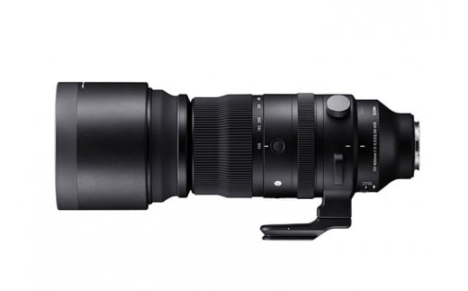 SIGMA 150-600mm F5-6.3 DG DN OS | Sports