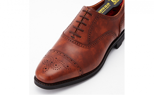スコッチグレイン紳士靴「シャインオアレインIII」NO.2720BR