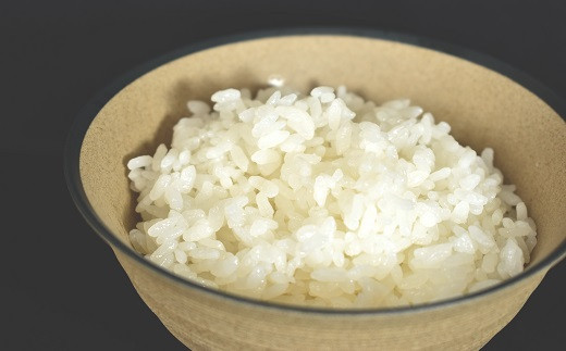 長老米の炊きあがりは、ピカピカのつやと粘りがあって、食感はふっくら、もちもち。
