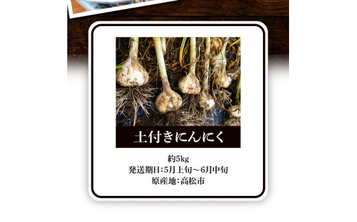 ふるさと納税 香川県 高松市 乾燥にんにく 約1kg(高松市) - その他野菜