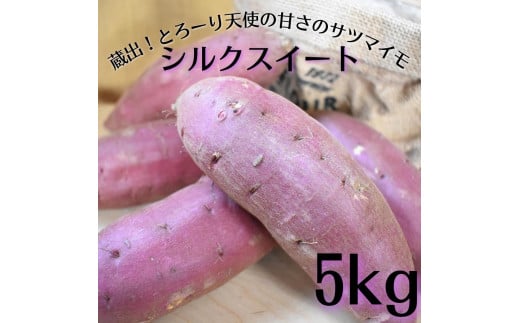 蔵出！とろーり天使の甘さのサツマイモ！シルクスイート　5kg 424174 - 茨城県鉾田市