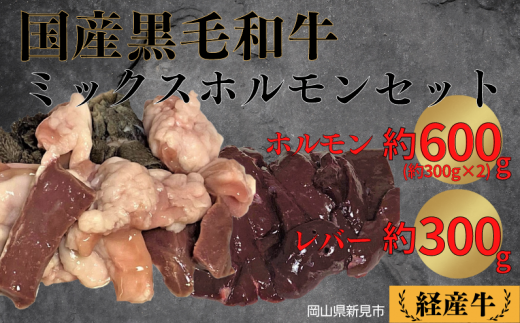 国産 黒毛和牛 いろり牛 経産牛 牛肉ミックスホルモンセット(ホルモン約600g＋レバー約300g) 777760 - 岡山県新見市