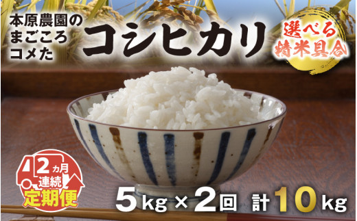 【令和5年産新米】【2ヶ月連続お届け】本原農園のまごころコメたコシヒカリ 5kg × 2回 計10kg [A-8923]