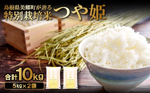 特別栽培米 つや姫 合計10kg(5kg×2袋)をお届けします！