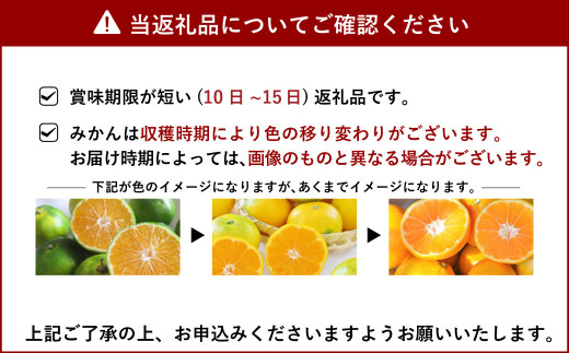 スイートスプリング 8kg（40個前後）ひでみかん 柑橘 果物
