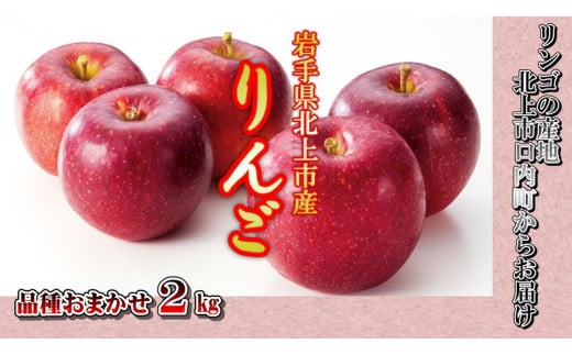 【海外正規品】 りんごりん　様専用 その他