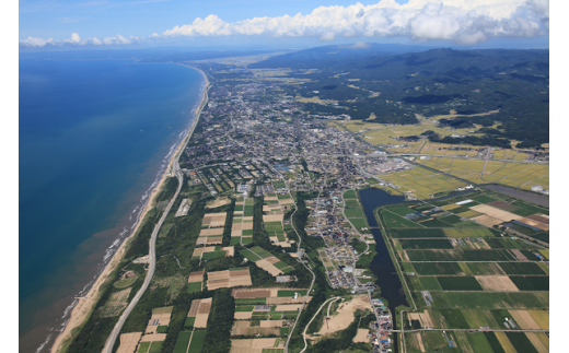 うるおう保湿レギンス（Ｌ-ＬＬサイズ）１着 / 石川県かほく市