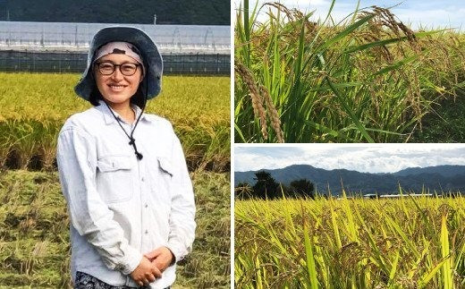 令和4年産米 自然栽培米 くらら 精米 5kg 米