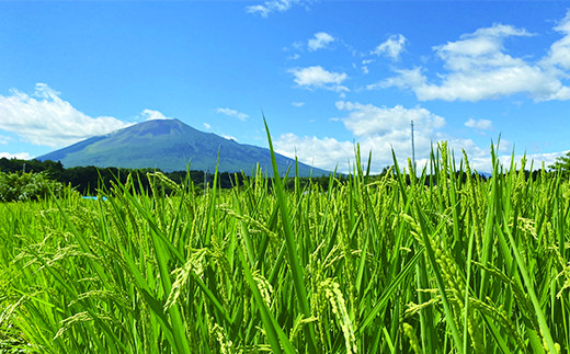 岩手山のミネラルたっぷりな伏流水で育った美味しいお米をお届けします。