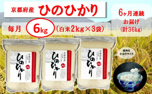 10kg×6か月】 坂井ファーム特別栽培米コシヒカリ 【 米 お米 定期便