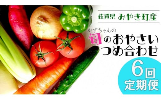 CC004_【6回定期便】かずちゃんの朝採り新鮮野菜セット隔月6回お届け みやき町産