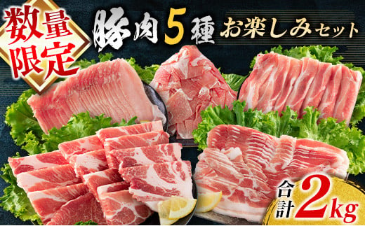 【チョイス限定】≪数量限定≫豚肉5種お楽しみセット(合計2kg)　肉　豚　国産 BC72-23