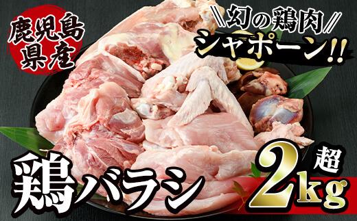 1576 唯一の国産 幻の鶏肉 シャポーン鹿児島鶏バラシ２kg以上