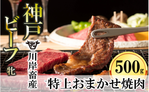 【神戸牛 牝】特上 焼肉 おまかせセット（500g）　（25-10）