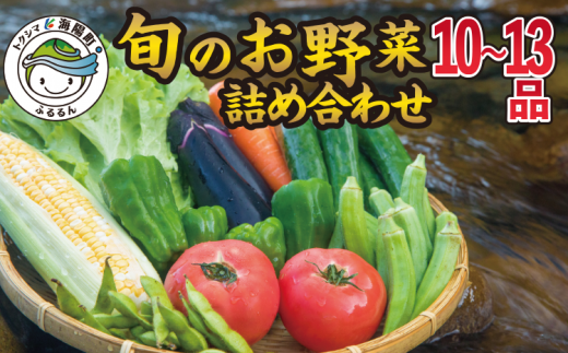 阿波の国海陽町 旬のお野菜詰め合わせセット１０‐１３品 野菜 徳島県