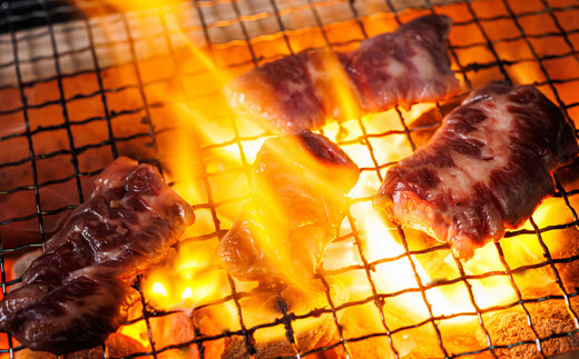 国産 牛ハラミ 北海道産 牛ハラミ 国産 精肉 釧路町