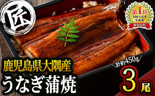 ふるさと納税 御嵩町 鰻蒲焼4本セット パック - 魚介類、海産物