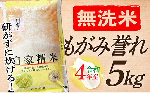 SA006-R4-2 新米予約【無洗米】もがみ誉れ5㎏(5㎏×1袋)