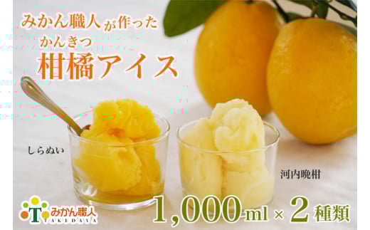 みかん職人が作った柑橘アイス 1000ml×2種（ 河内晩柑 しらぬい ） ギフト 詰め合わせ 不知火 蜜柑 お取り寄せ 贈答品 氷菓 シャーベット ソルベ 美味しい フルーツ 果物 果汁 みかん職人武田屋 愛媛県 愛南町